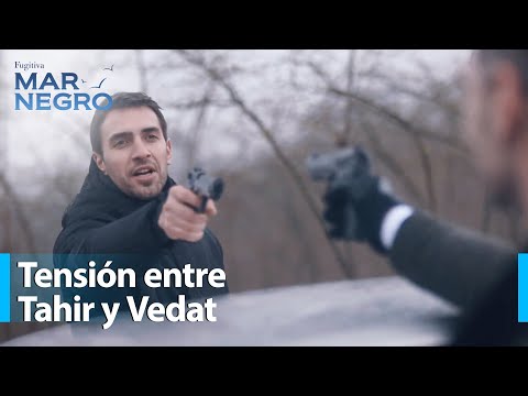 Gran confrontación - Mar Negro Capítulo 139 | Fugitiva