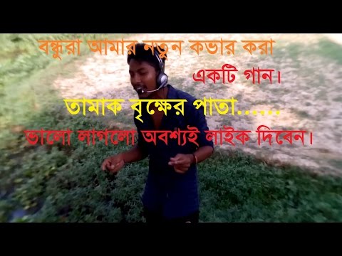 Tamak bikher pata new  bangla  cover music by Rashed 2017