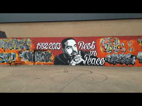 Het mysterie van Tielenaar Vasco(the mystery of the diseased Vasco of tiel)