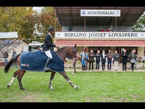 Kiskunhalas: megújul a Hirling József Lovaspark