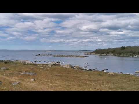 GÖ NATURRESERVAT (Gökalv) - 200420 (Huawei P30 Pro) - RONNEBY - Blekinge