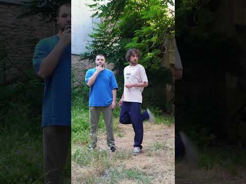 რა არის ბორბალო? 👀