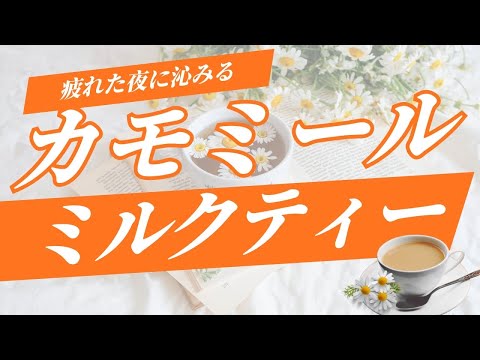 医療ビジネス薬科学科 【疲れた夜にしみる】ホッと温まるカモミールミルクティー