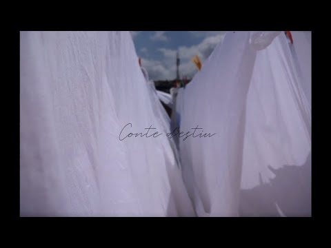 Conte d'estiu - Un fantasma s'ha colat per la finestra