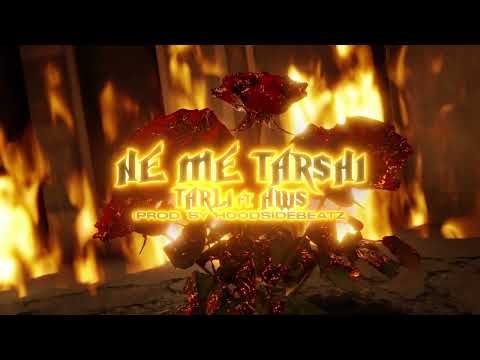 TARLI x THE HWS - NE ME TARSHI (OFFICIAL VISUALIZER)