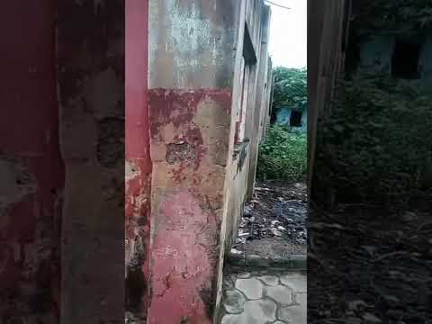 60 × 120ft Land at Apana Street, Ejigbo