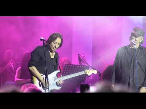 DIVLjE JAGODE & TONI JANKOVIC - Jukebox