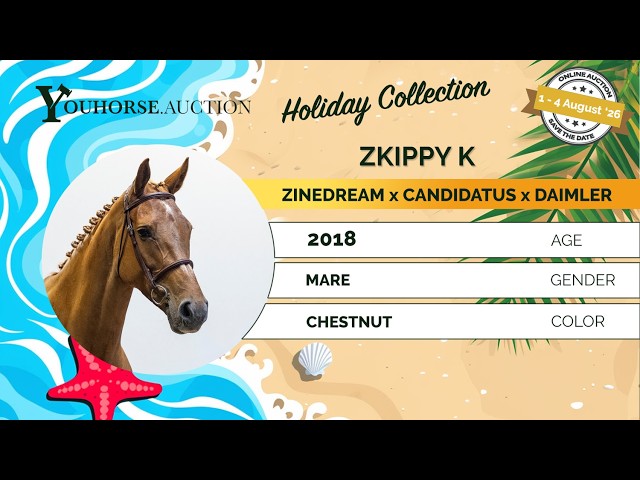 Zkippy