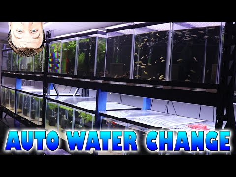DIY Fish Room Build From the Ground Up Part 8 - Auto Water Change