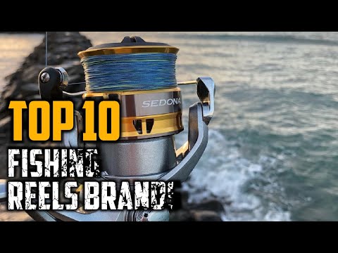 Top 10 Best Fishing Reel Brands in 2024