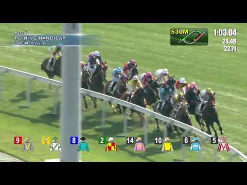 Hong Kong Race Replay - Sha Tin - January 20, 2019