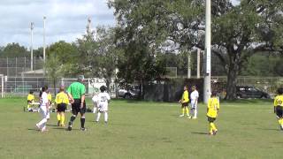 preview picture of video 'Miami Strike Force U9 Yellow (5) vs Kendall Sunblazers Gold (1)'