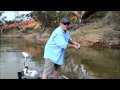 How to catch Yellow Belly - SHIMANO FISHING