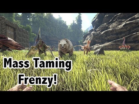 Mass TAMING FRENZY + High LvL Dire Bear Tame! -=- Ark Island PvP Ep 7!