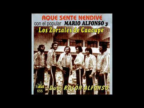 MARIO ALFONSO y LOS ZORZALES DE CAACUPE - AQUESENTE NENDIVE - Discos Pájaro Cantor