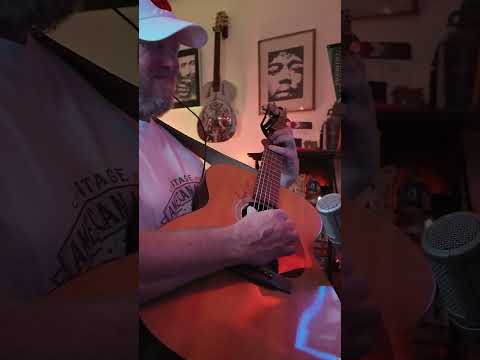 Fleu - Riff A Day 20 Born On The Wrong Side Of The Wall - Misc Originals