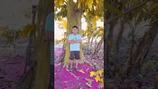 Download lagu Kumpulan Story Whatsapp Terbaru bulan juli mp3