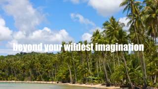 Michael Beckwith Adventure in Paradise Lyric Video from the album TranscenDance