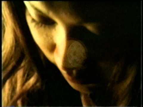 「everything」 stereo sun