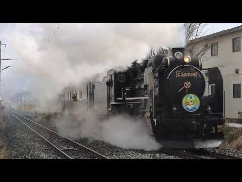 東北本線 C58形+キハ141系 9531レ「SL銀河幸せ大作戦」 紫波中央駅通過 2019年4月7日