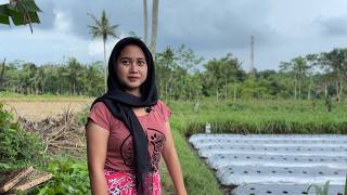 Download lagu TIRED OF LIVING LIKE THIS...!!! CONFESSION OF A YOUNG WIDOW IN THE RURAL COUNTRY || A VILLAGE WIDOW mp3