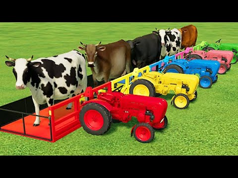 TRANSPORTING COWS WITH COLORED ISEKI TRACTORS & MAN TRUCKS - Farming Simulator 22