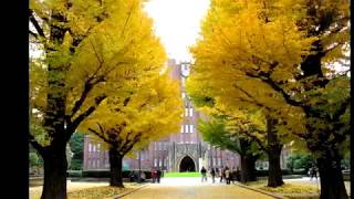 早稲田松竹　藤原浩　　作詞　大谷めいゆう（字幕付き）