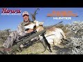 Build Your Howa Hunting Rifle with Randy Newberg