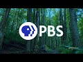 PBS Program Break 2021 KHET DT1