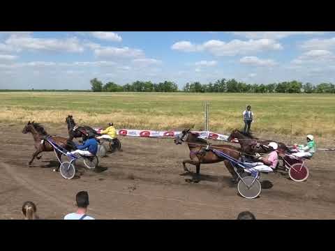 Trka "Druga trka" 13.06.2021 Express Lady - Boris Nović