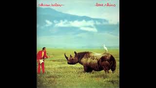 Adrian Belew &quot;Big Electric Cat&quot;
