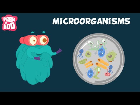 Microorganisms | The Dr. Binocs Show | Educational Videos For Kids
