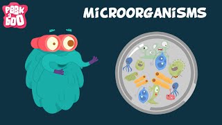 Microorganisms | The Dr. Binocs Show | Educational Videos For Kids