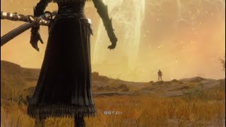 #ﾅｲﾄﾚｲﾝ 　執行者　追憶ムービー