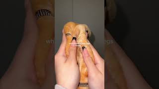 Download lagu Never freeze again with the myfleecy tights😜🎀 mp3