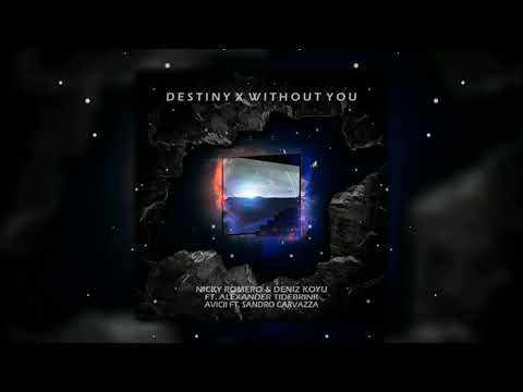 Destiny vs. Without You (Nicky Romero Mashup) [DJ Bau Remake]