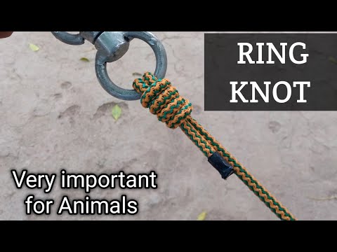 RING KNOT #how #knots 👌@sajjad12455