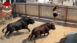 90 Most BRUTAL ANIMAL ATTACKS Caught on Camera! #3