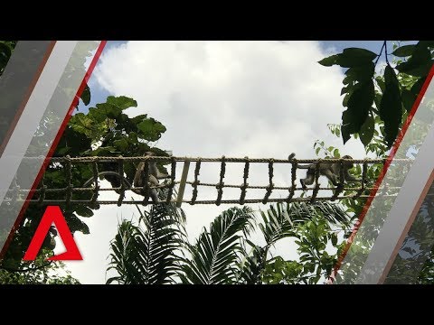 Wildlife Crossing Infrastructure
