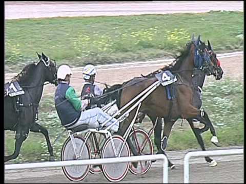 Trotto 02/10/2016 - 1ª corsa