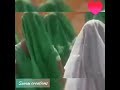 Pada Pada Pattampoochi Majnu Whatsapp Status Part 2