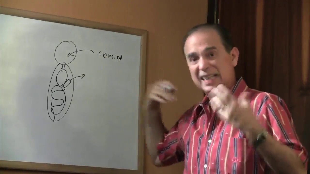 Episodio # 868 El Metabolismo y el Bicarbonato