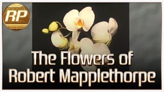 The Flowers of Robert Mapplethorpe (Philips CD-i) Complete Exhibition