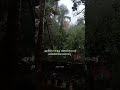 തൂവാനത്തുമ്പികൾ ️ Malayalam Old Mohanlal Thoovanathumbikal Nostalgia