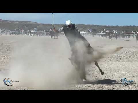 Parte 2 Montas categorías Clina  limpia .Chubut /Gaiman 
