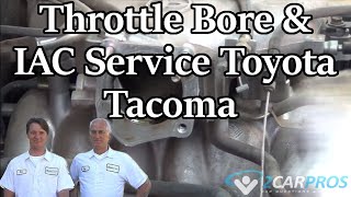 Throttle Bore & IAC Service Toyota Tacoma