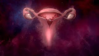 BodyForm: Womb Stories