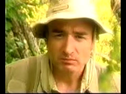 Bruno Blanchet - Welcome to Insecticide