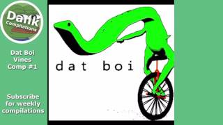 DATBOI ultimate vine compilation