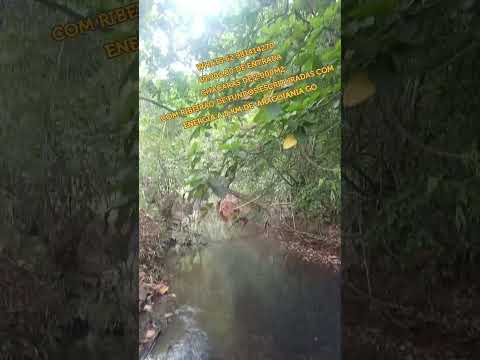 40.000,00 DE ENTRADACHÁCARAS 2.000M2 RIBEIRÃO DE FUNDOS ESCRITURADAS COM ENERGIA 8 KM ARAGOIANIA GO